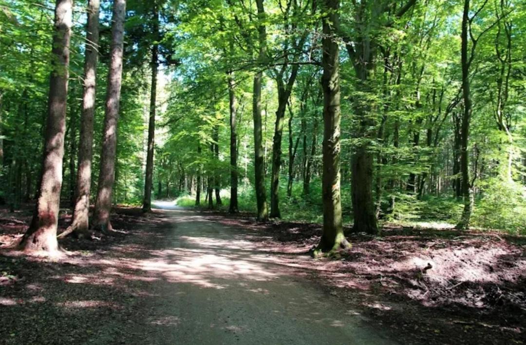 Chalet Harmony Prive Wellness Putten Esterno foto